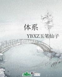 体系工程师是做什么的