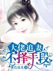 大佬追妻不择手段正版