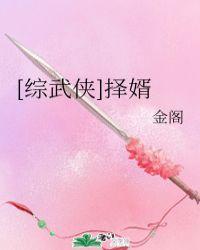 综武侠择婿txt