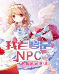 我老婆是npctxt