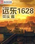 远东1628目录