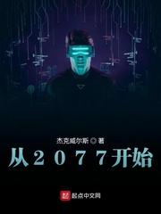 2077开始二周目