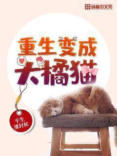 重生之我变成了橘猫