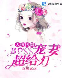 天价闪婚boss宠妻超给力同房是哪一张