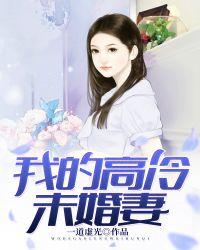 我的高冷未婚妻txt八零