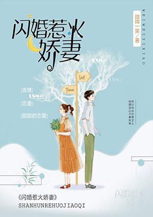 闪婚娇妻太撩人免费阅读