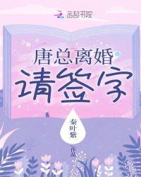 离婚请签字第二部