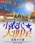 小农民大明星txt精校版