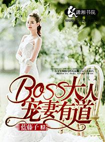 boss大人宠妻手册免费