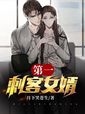 第一刺客女婿月明星稀txt