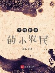 大时代中的小农民 第501章