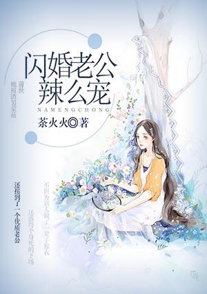 闪婚老公宠不够