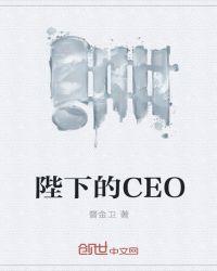 陛下的CE0