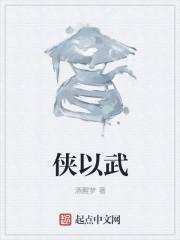 侠以武犯禁什么意思