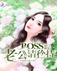 豪门闪婚Boss老公太难缠