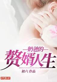 新春奶爸当赘婿