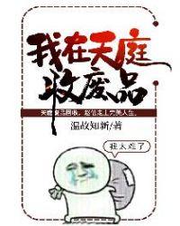 我在天庭收废品漫画