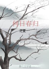 王师何日归