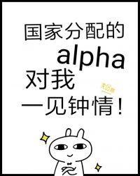 国家分配的alpha对我一见钟情剧透