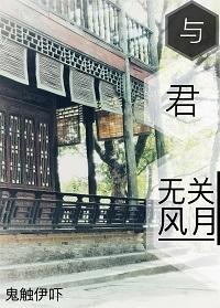 后来无关风月无关你