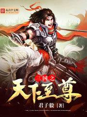 三国之天下独尊