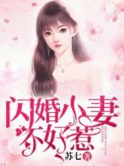 闪婚冷妻不好惹