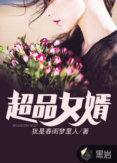 超品女婿强子婷婷免费阅读