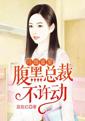 闪婚总裁太腹黑