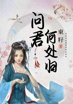 问君何日归故里