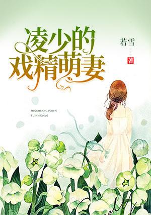 凌少爷甜蜜宠妻日常