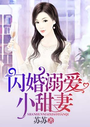 闪婚总裁溺爱小甜妻