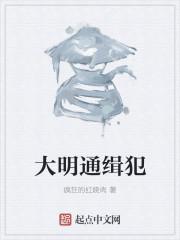 大明通缉犯txt00