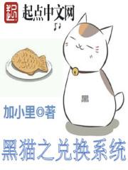 黑猫 系统 国美