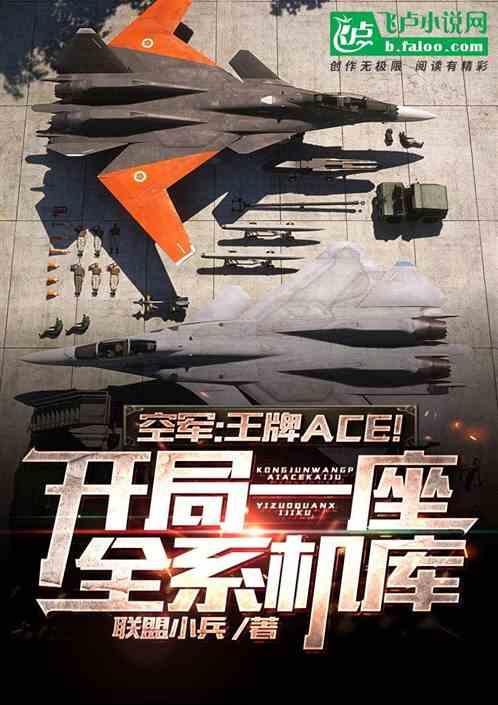 空军王牌ace!开局一座全系机库作者联盟十九