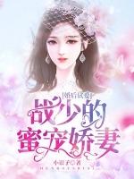 婚后试爱帝少宠妻成瘾