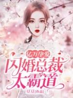 闪婚亿万总裁 第242章