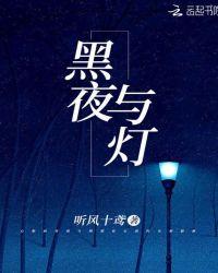 黑夜与灯火相映衬