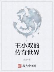 王小双简介