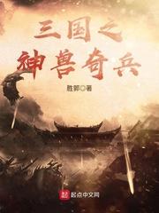 三国第一奇兵全文阅读免费