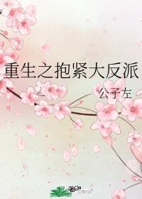 重生后抱紧反派大佬