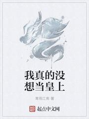 我真的没想当皇上穿书