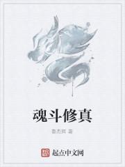 魂斗罗系统