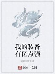 我的装备方案