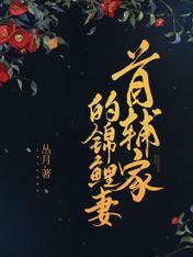 苏九月吴锡元25集动画