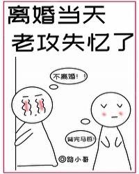 老攻失忆了路小哥