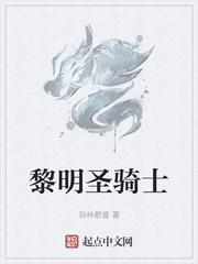 圣骑士 黎明圣光