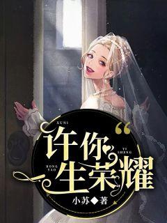 霍司爵我们离婚吧免费阅读