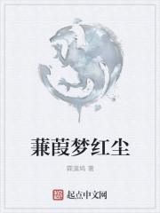 蒹葭如梦什么意思