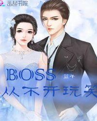 boss为什么打不开了