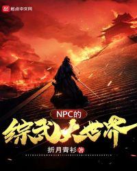 npc的综武大世界txt